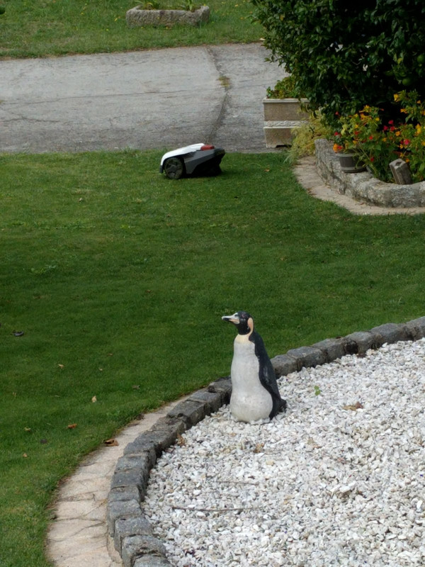 Robotic self-guiding lawn mower.