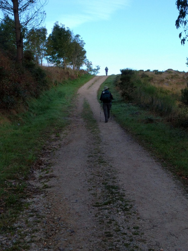 More of our camino path today