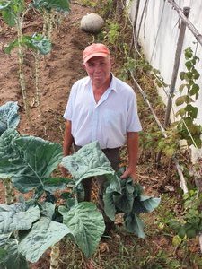 Gentleman with his 'kale-like' vegetable