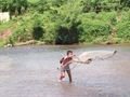 A kid fishing