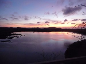 Sunset on flamingo island