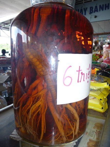 One jar of pickled hippocampus please!
