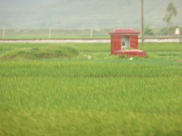 Family graves in paddy fields en route for Halong Bay