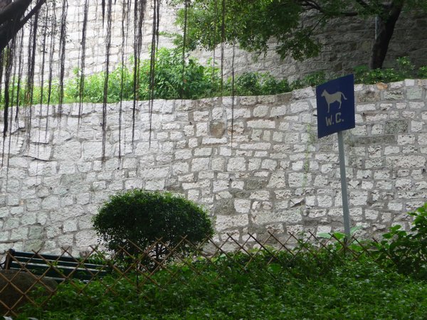 Dog WC, by St Pauls fort, Macau=grass