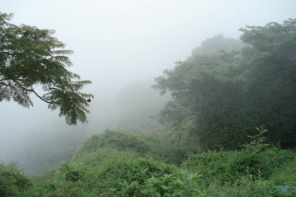 Road to Ooty Pic taken frm car