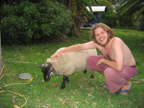Benji with a Sheep