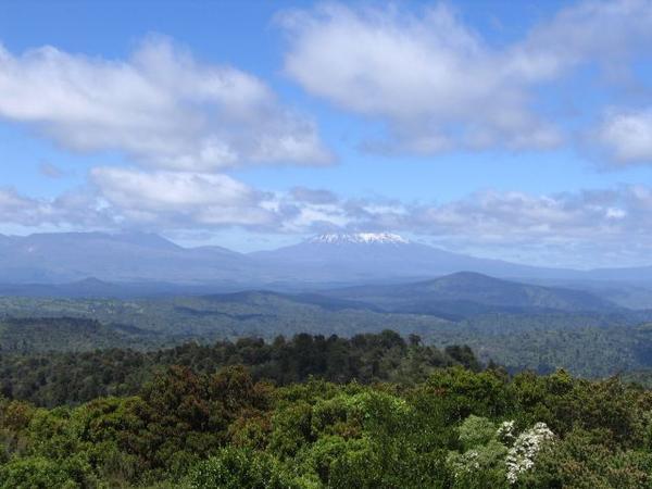 View of Mt. Ruapeho