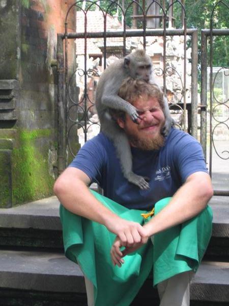 get that monkey off my head!!