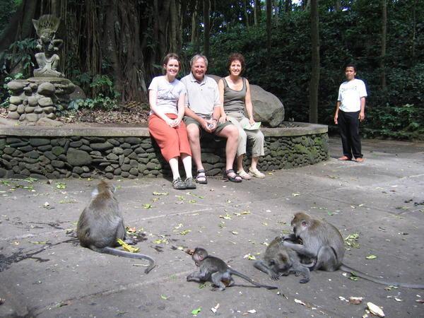 two families of monkeys