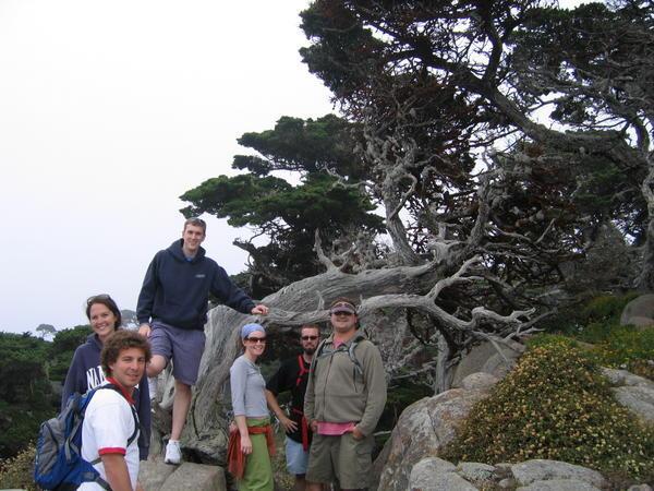 Hiking at Point Lobos