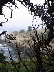 Point Lobos is Amazing!!!