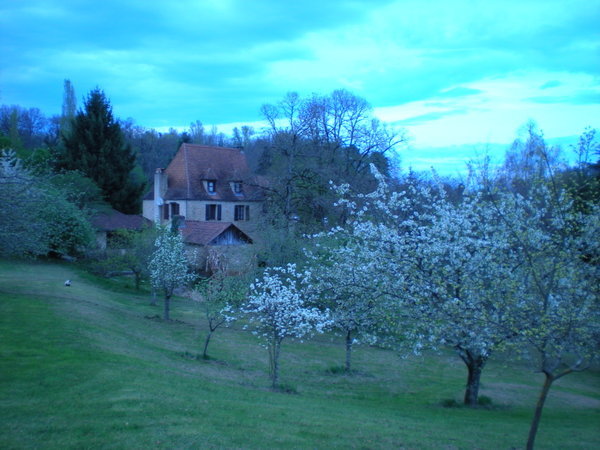 The cottage in the countryside