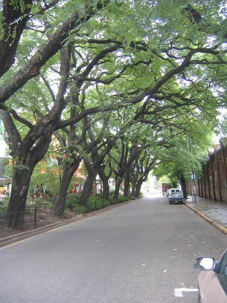 Street in Buenos Aries