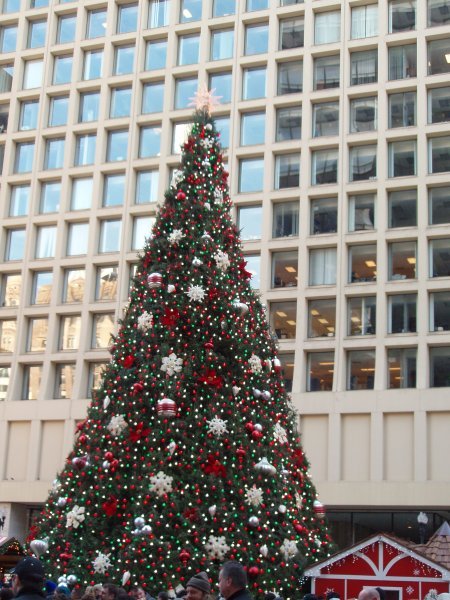 Christmas Tree at Daley Plaza