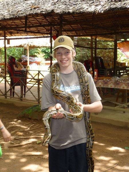 Mekong Snake