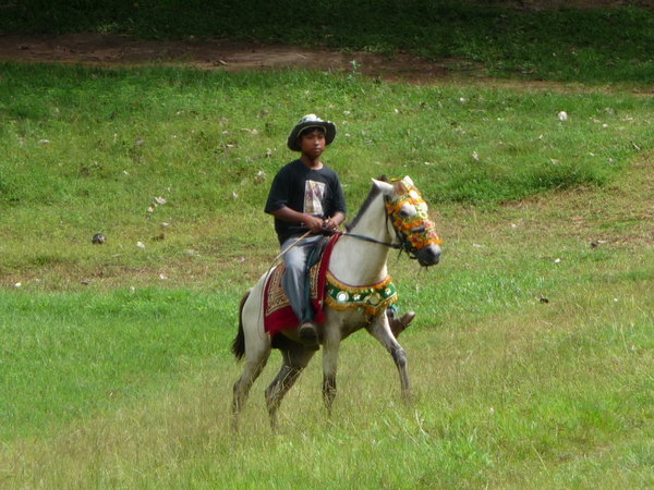 Horse rider Angkor Wat