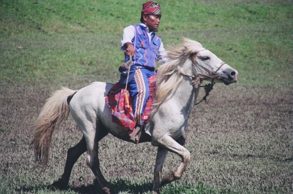 Horse rider at festival