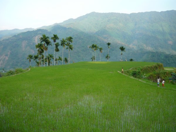 A very high Lubo rice terrace