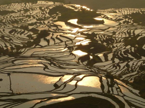 The sun comes up on Yuanyang's rice terraces