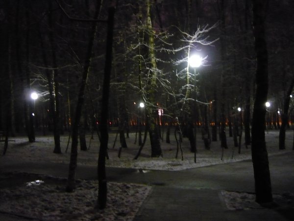 Park by night