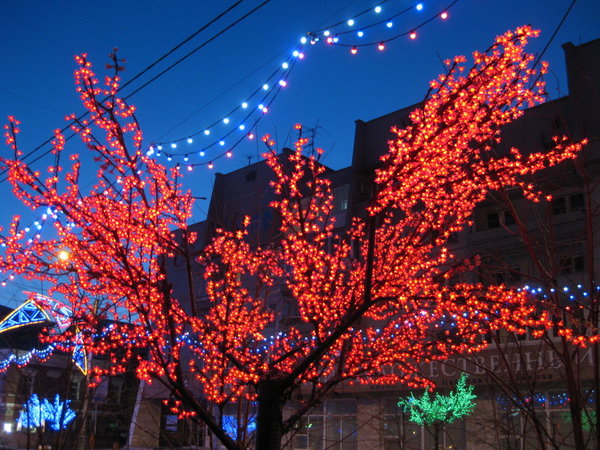 Neon Tree on Krasnoyarsk Main Street