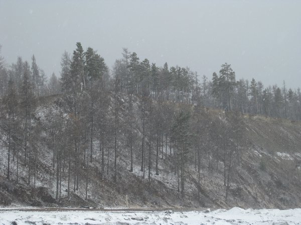 The forested shore of Lake Baikal