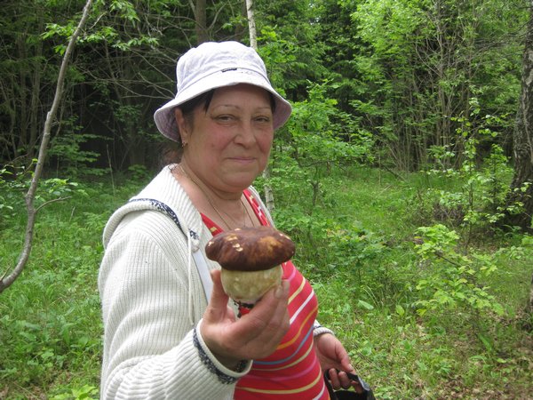 A babushka out collecting mushrooms