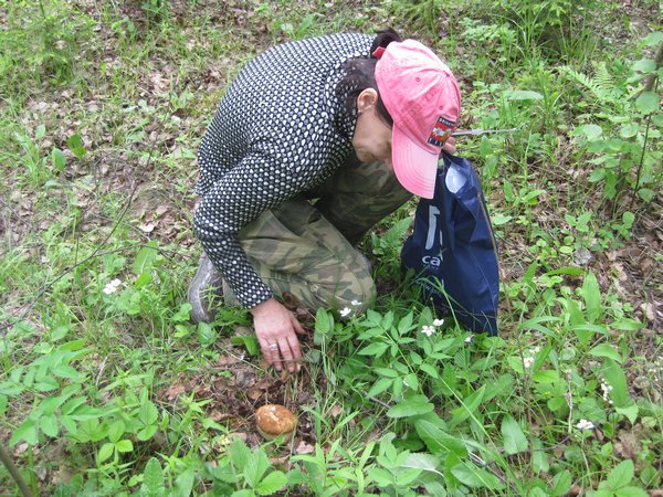 Irina collecting mushrooms