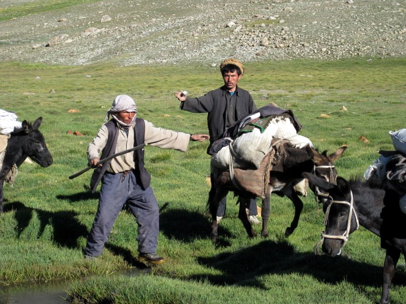 Two Badakhshi traders trying to get their animals to ford a river