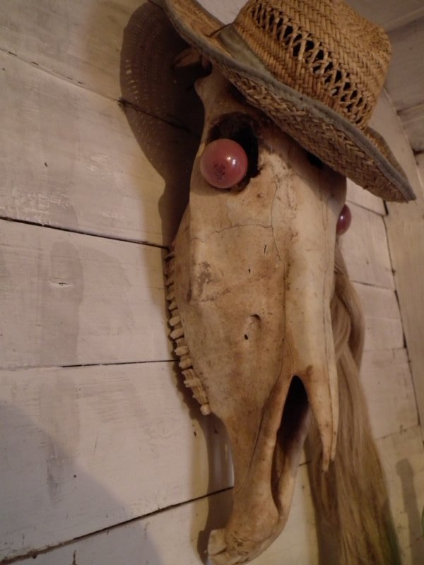A horse skull on the porch of the house in Dubrovki village, Tverskaya province