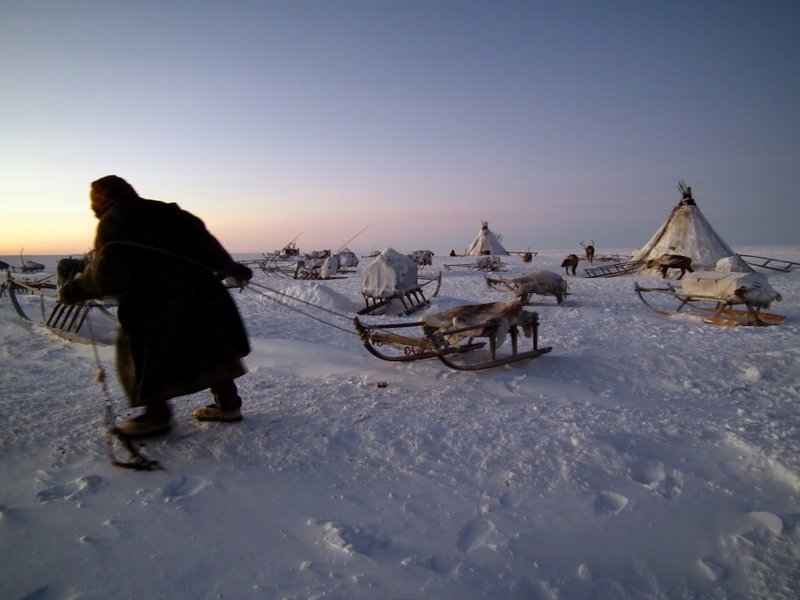 Nenets man getting ready to head off on a reindeer sledge at daybreak, Yamal Peninsula