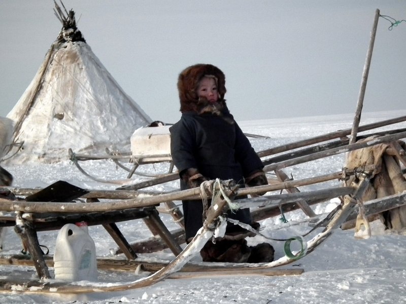 Nenets child by reindeer sledge outside chum, Yamal Peninsula | Photo