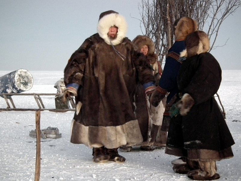 Nenets people, Yamal Peninsula