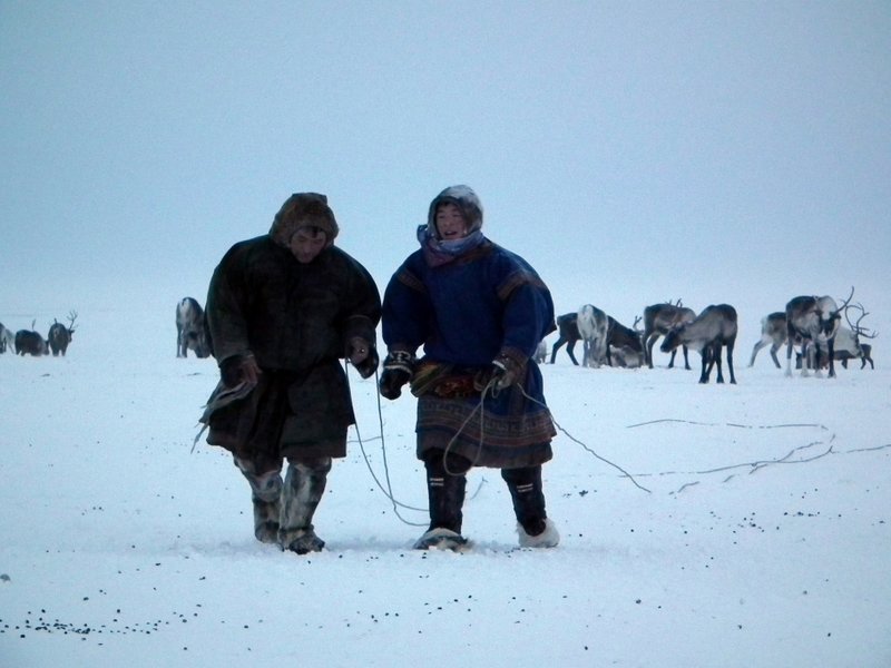 Nenets men, Yamal Peninsula