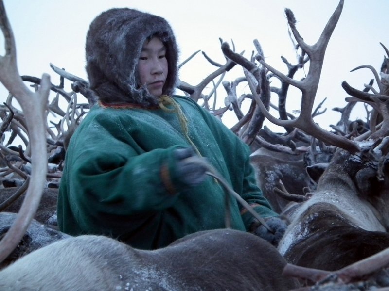 Nenets man, Yamal Peninsula