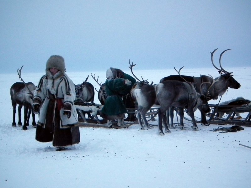 Nenets woman, Yamal Peninsula