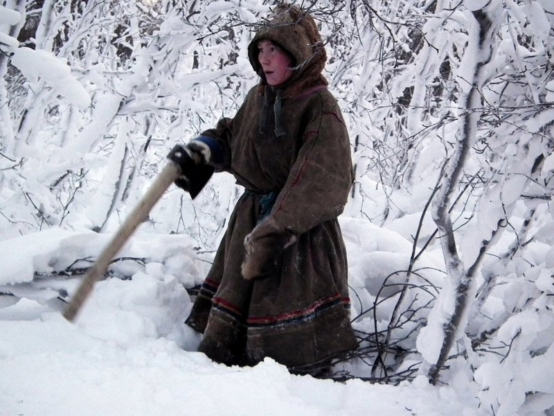 Nenets woman cutting trees, Yamal Peninsula