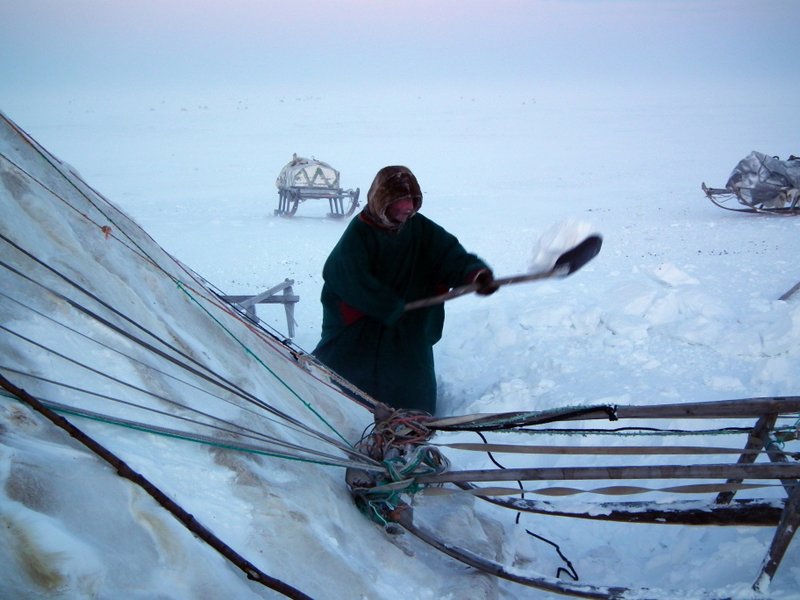Nenets grandfather digging a ditch around a chum, Yamal Peninsula