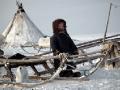 Nenets child by reindeer sledge outside chum, Yamal Peninsula