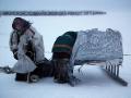 Nenets nomads packing up camp, Yamal Peninula