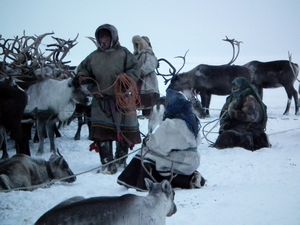 Nenets people, Yamal Peninsula
