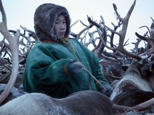 Nenets man, Yamal Peninsula