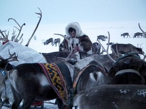 Nenets, Yamal Peninsula