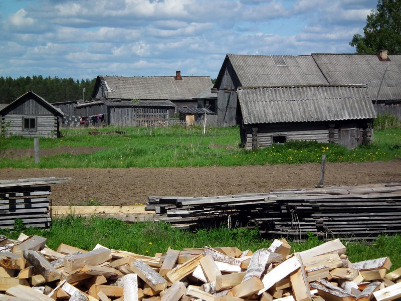 Buildings in Saunino, Arkhangelskaya Oblast