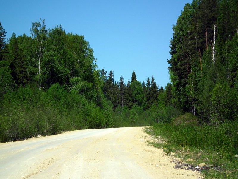 The road towards Karelia, Arkhangelskaya Oblast
