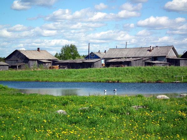 Houses in Saunino, Arkhangelskaya Oblast