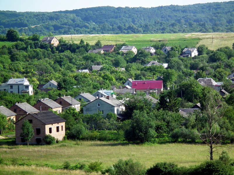 Village in Lviv Region, Ukraine