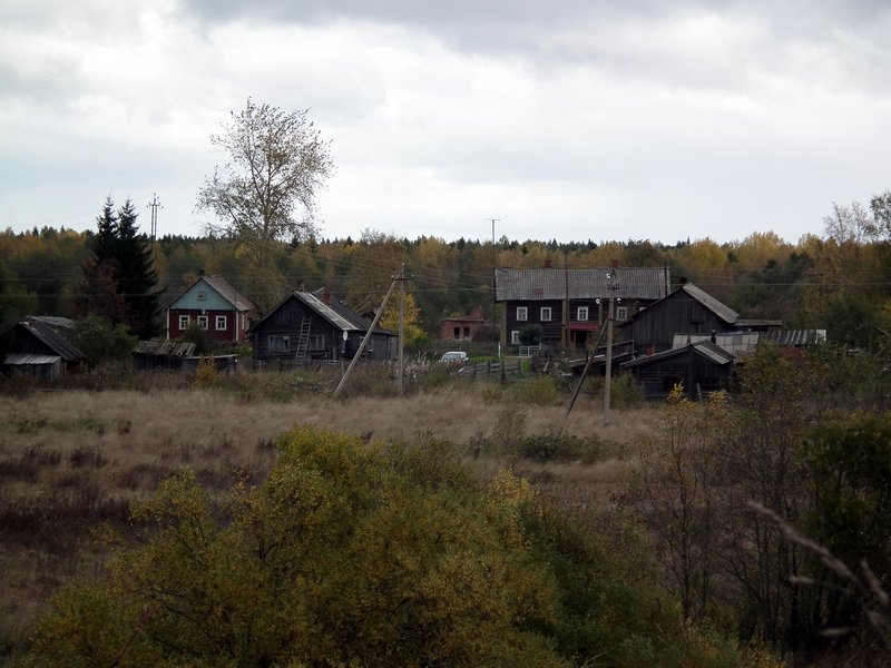 Houses in Gimreka