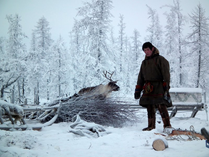 A  Nenets reindeer herder, Nadym Region, Siberia