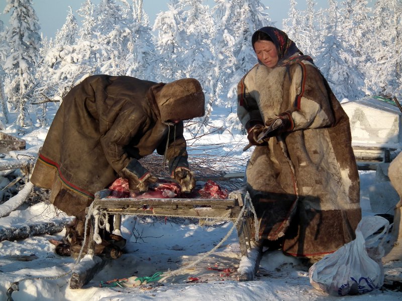 Nenets people, Nadym Region, Siberia